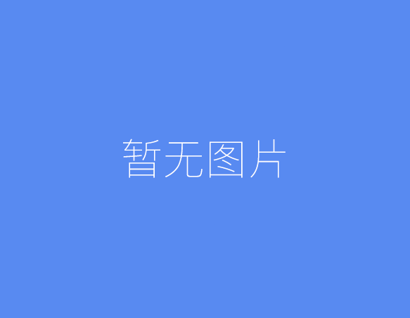 2025年老王浏览器官方网站，正版入口